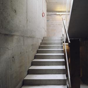 Zdjęcie 10